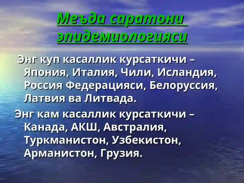 Меъда саратони 3