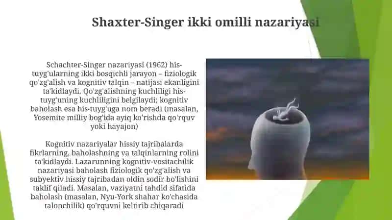 Shaxter-Singer ikki omilli nazariyasi 3
