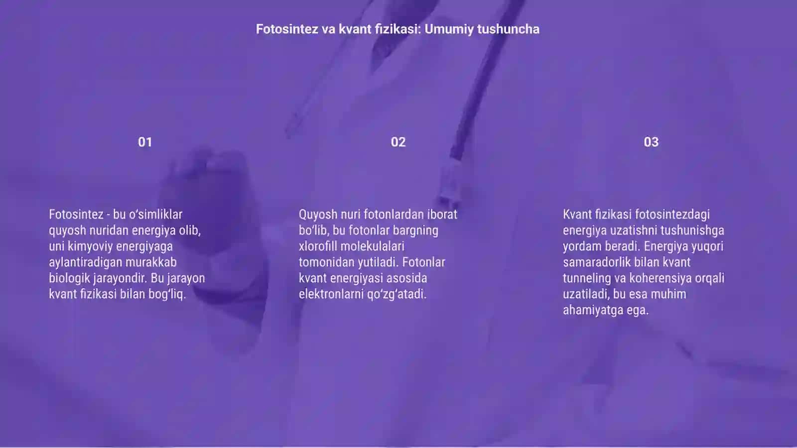 Fotosintez va kvant fizikasi 3