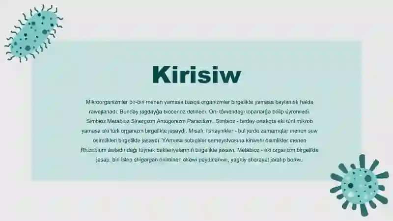 Mikroorganizm óz-ara hám basqa organizm menen qatnası 3