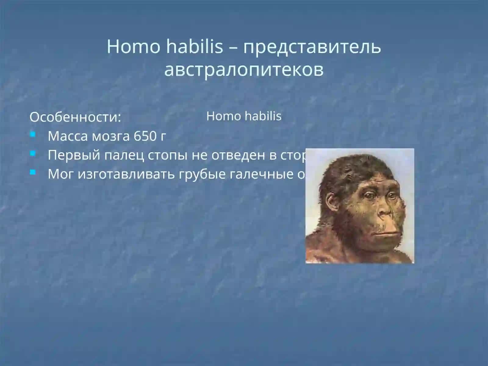 Антропогенез 3