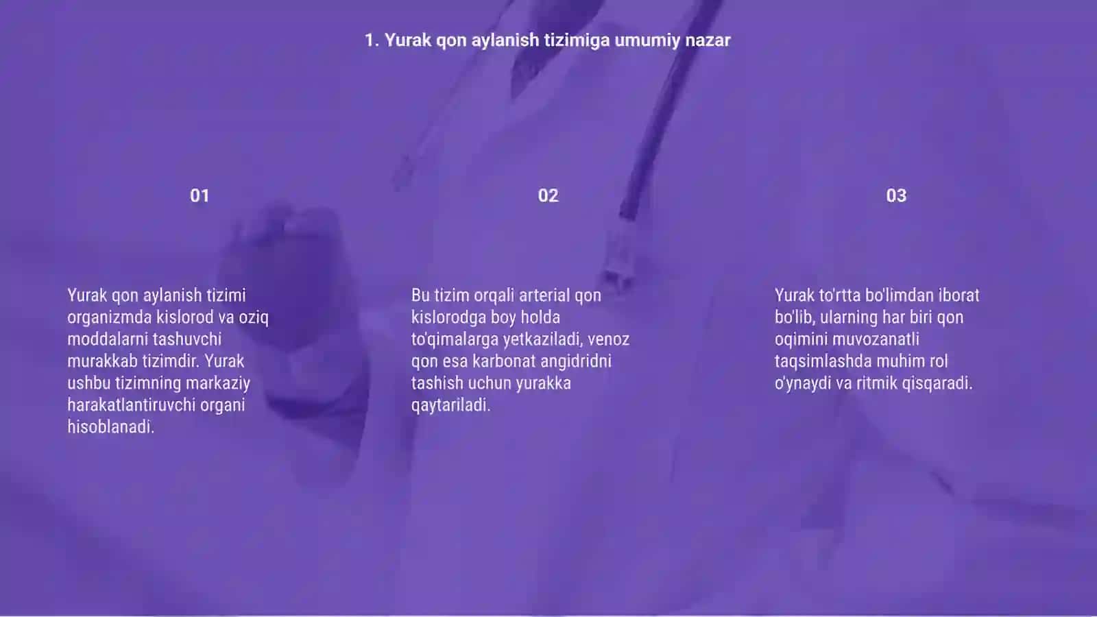 Yurak qon aylanish tizimi anatomiyasi 3