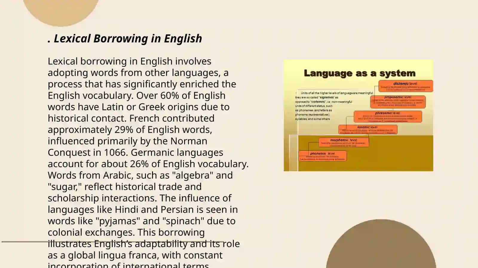 Lexical Borrowing in English 3