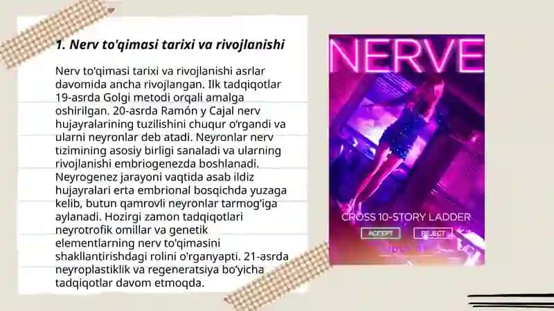 Nerv Toqimasi 3