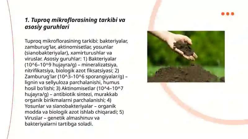 Tuproq mikroflorasi 3