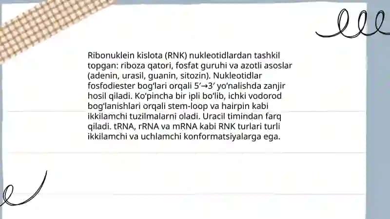 Ribonuklein kislotalar 3