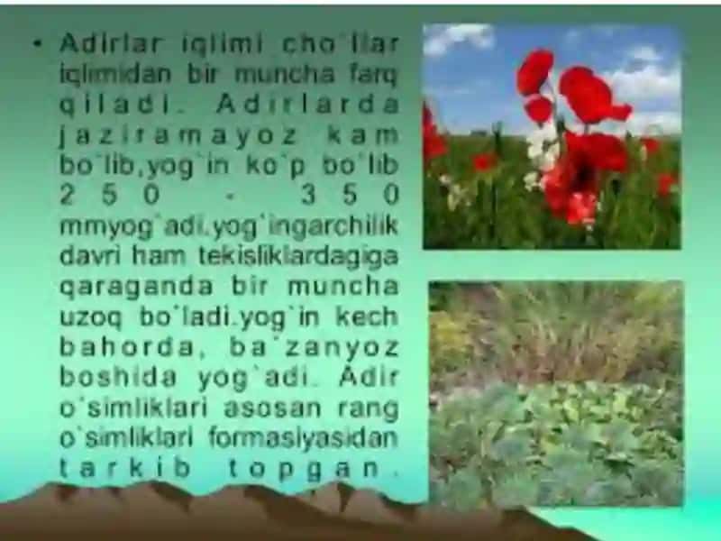 TOG' VA DUNYO TUPROQLARI 3