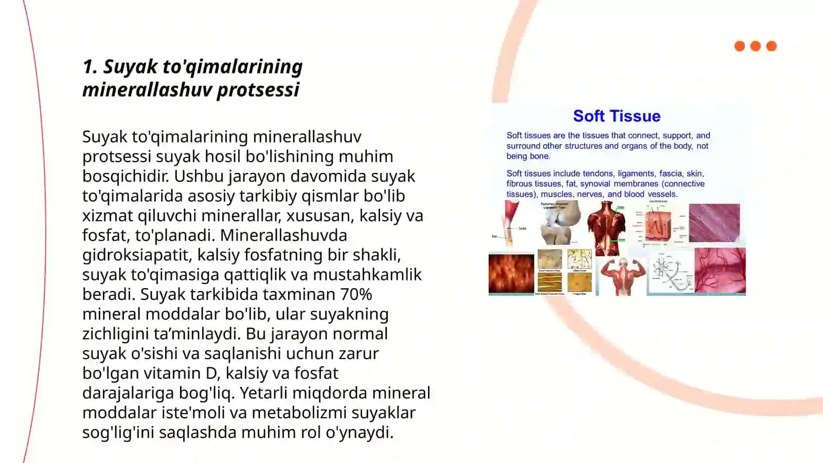 Suyak to'qimalarining minerallashuvi 3