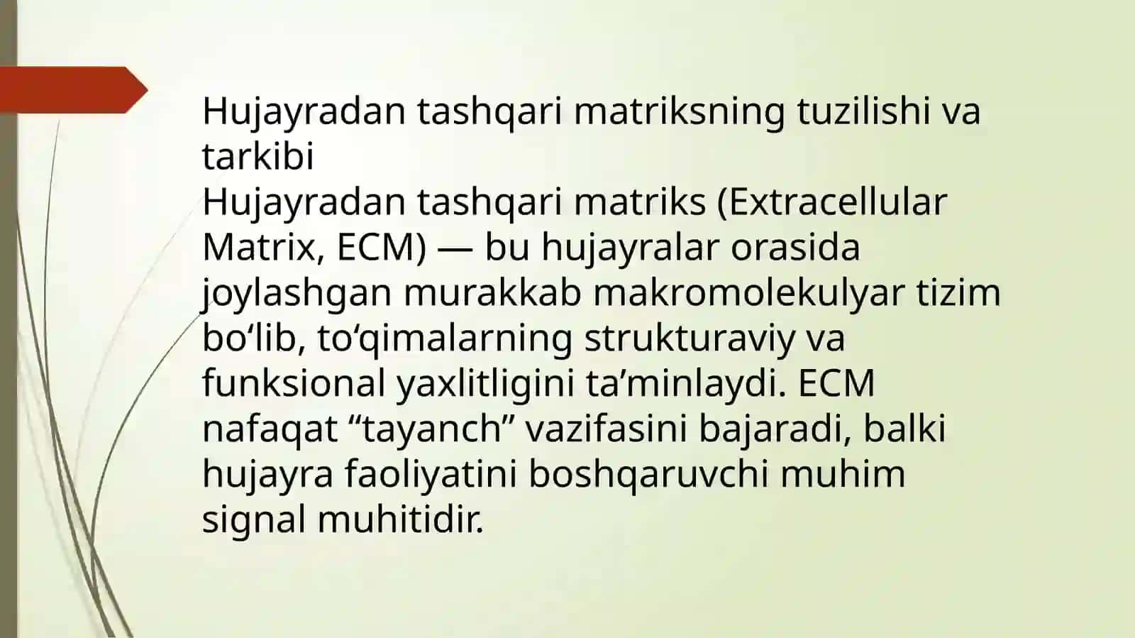Hujayradan tashqari matriks va hujayra-matriks oʻzaro tasiri 3