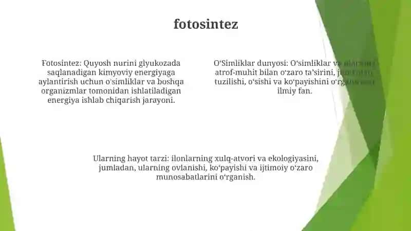 OʻSimliklar Dunyosi Va Ularning Hayot Tarzi 3