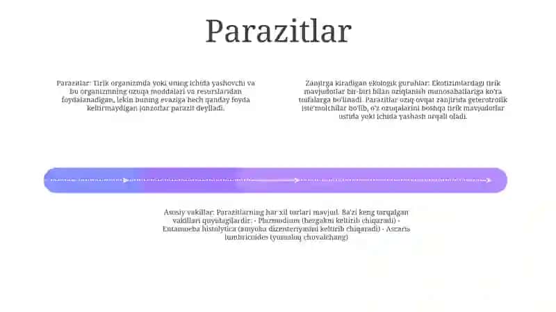 Zamburug'Larning Ekologik Guruhlari Va Asosiy Vakillari 3