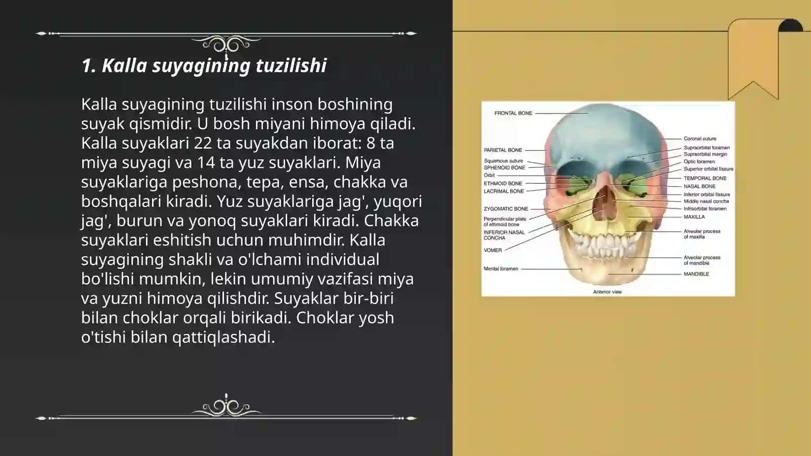 Kalla suyagi 3