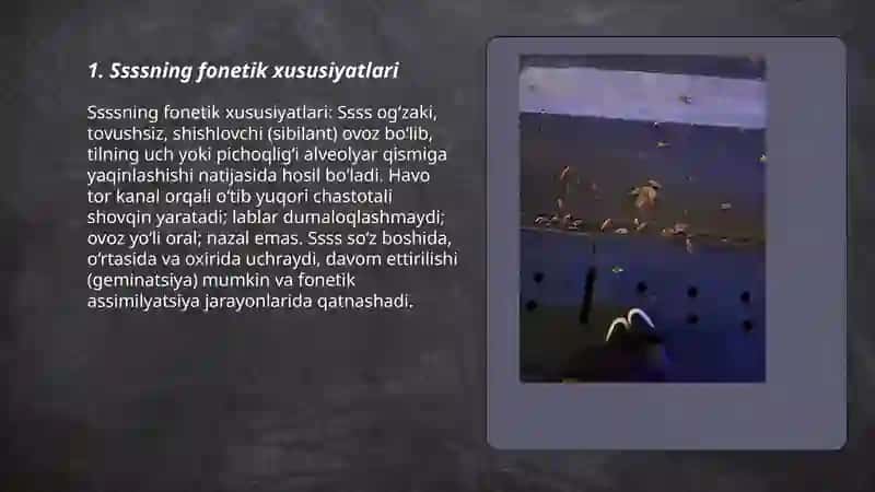Ssssning fonetik xususiyatlari 3