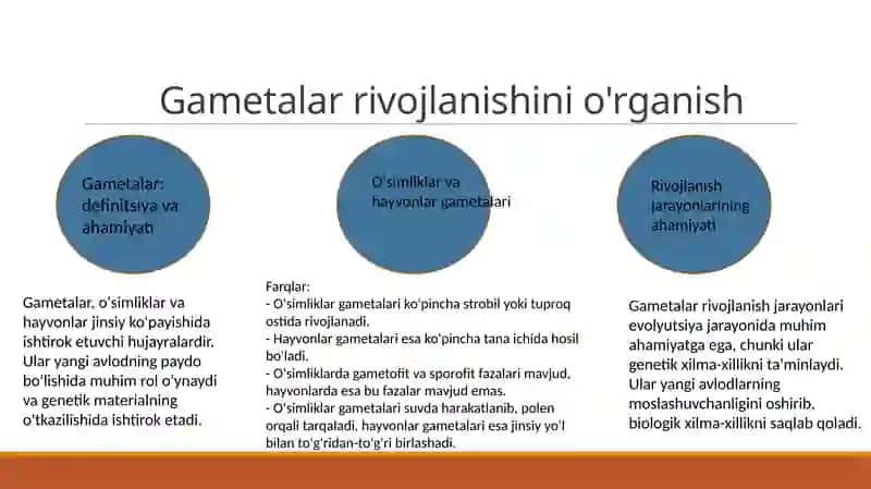 O'simlik va hayvon gametalarining rivojlanishi 3