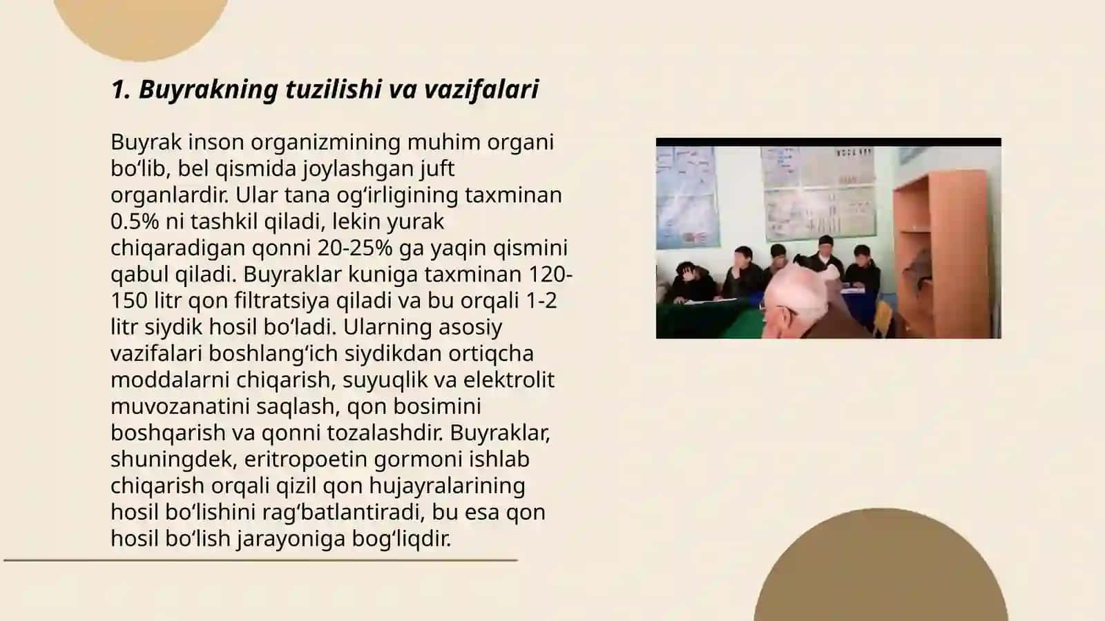 Buyrak tuzilishi 3