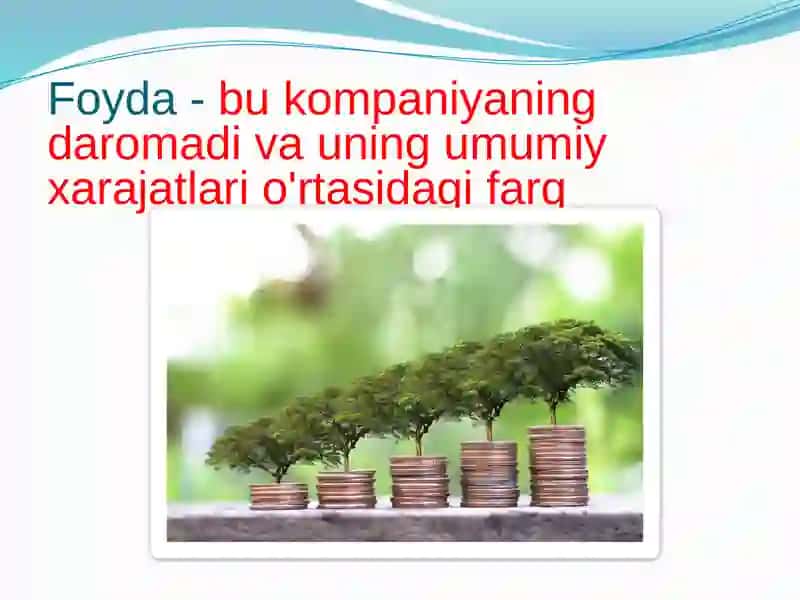 Ishlab chiqarish xarajatlari va foyda 3