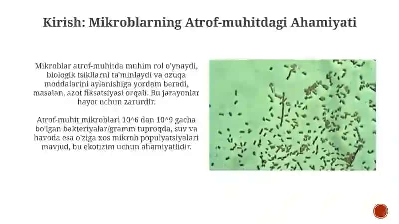 Atrof muhitda mikroblarning tarqalishi 3