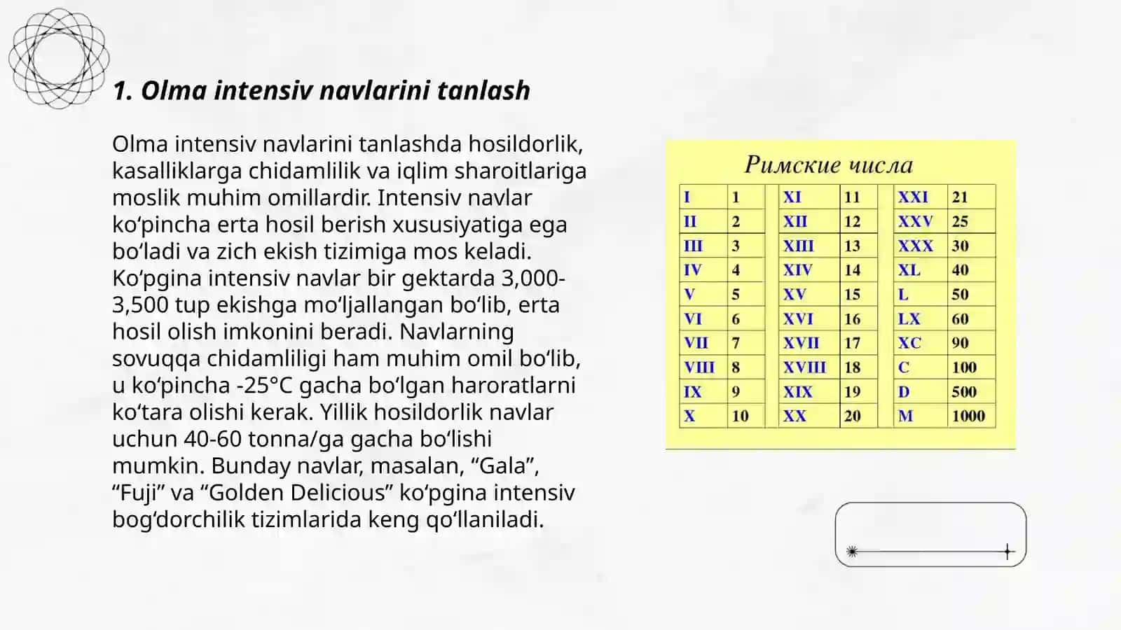 Olmani Intensiv navlarini parvarishlash texnologiyasi 3