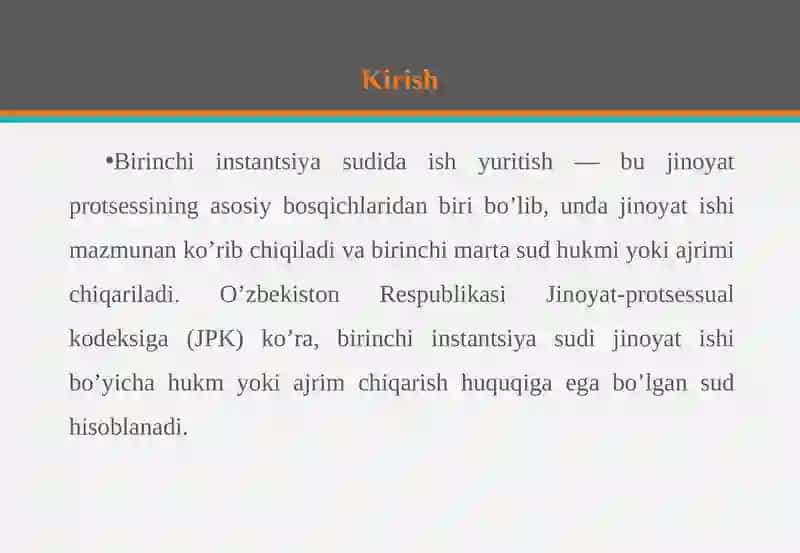 BIRINCHI INSTANTSIYA SUDIDA ISH YURITISH 3