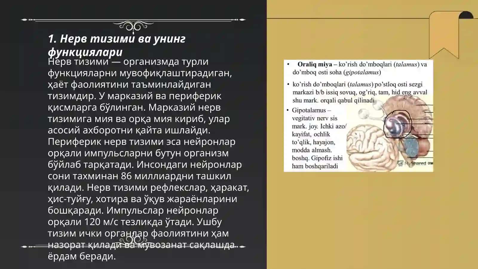 Миянинг анатомо-физиологияси 3
