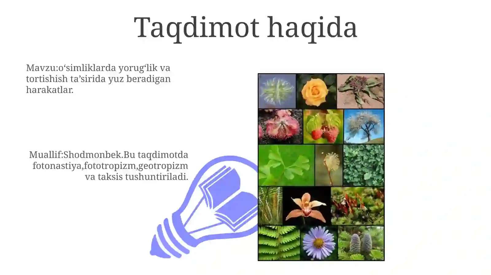 Fotonastiya,Fototropizm,Geotropizm,Taksis 3