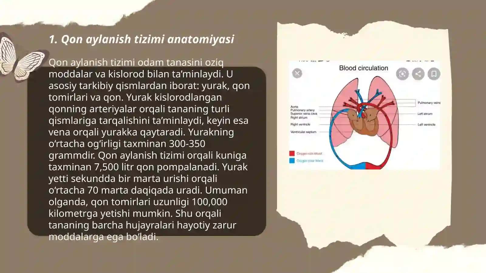 Qon aylanish a'zolari tizimini baholash 3
