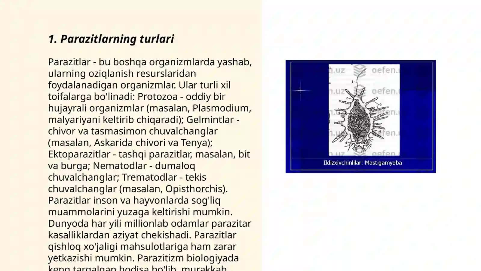 Parazitlarning turlari 3
