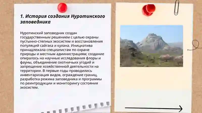 Нуротинский заповедник 3