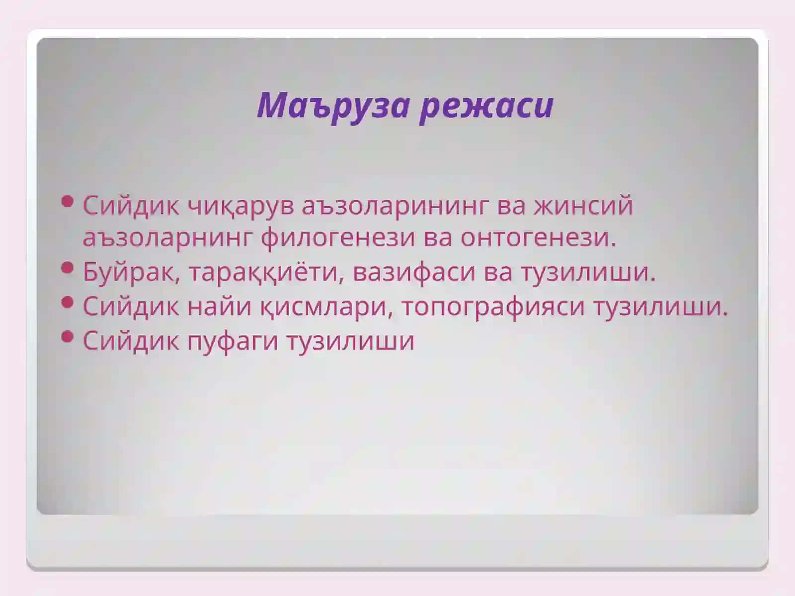 СИЙДИК ЧИҚАРУВ АЪЗОЛАРИНИНГ ФУНКЦИОНАЛ АНАТОМИЯСИ 3