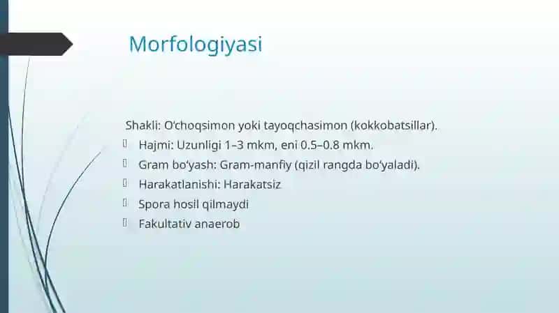 Yersinia pestis 3
