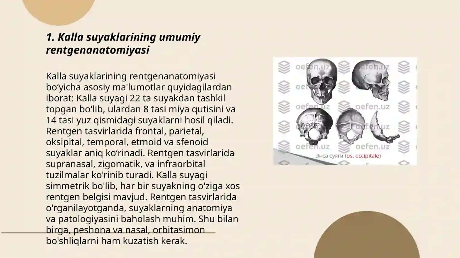 Kalla suyaklarining rentgenanatomiyasi 3