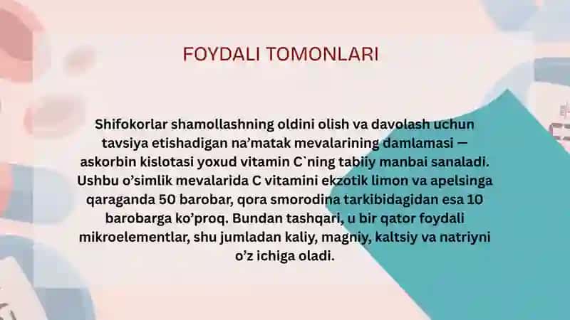 Na'matak damlamasi 3
