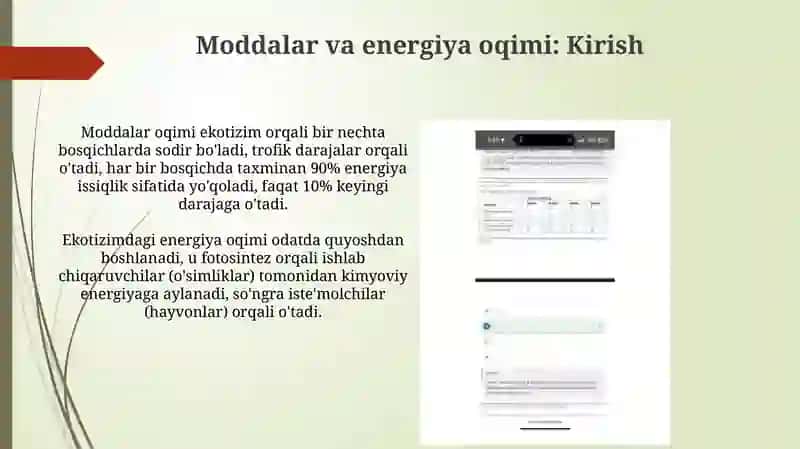 Moddalar va energiya oqimi 3