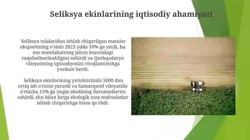 Seliksiya Materiallarini Baholash 3