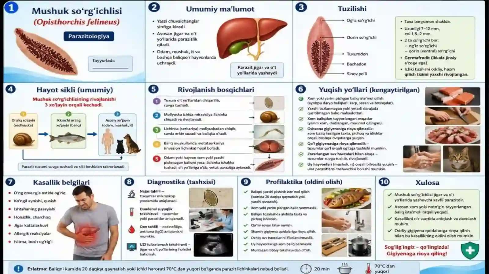 tibbiy biologiyadan mustaqil talim:mushuk sorgichlisi 3
