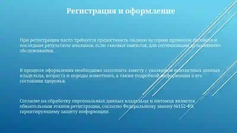 Прием у ветеринара: от регистрации до осмотра 3
