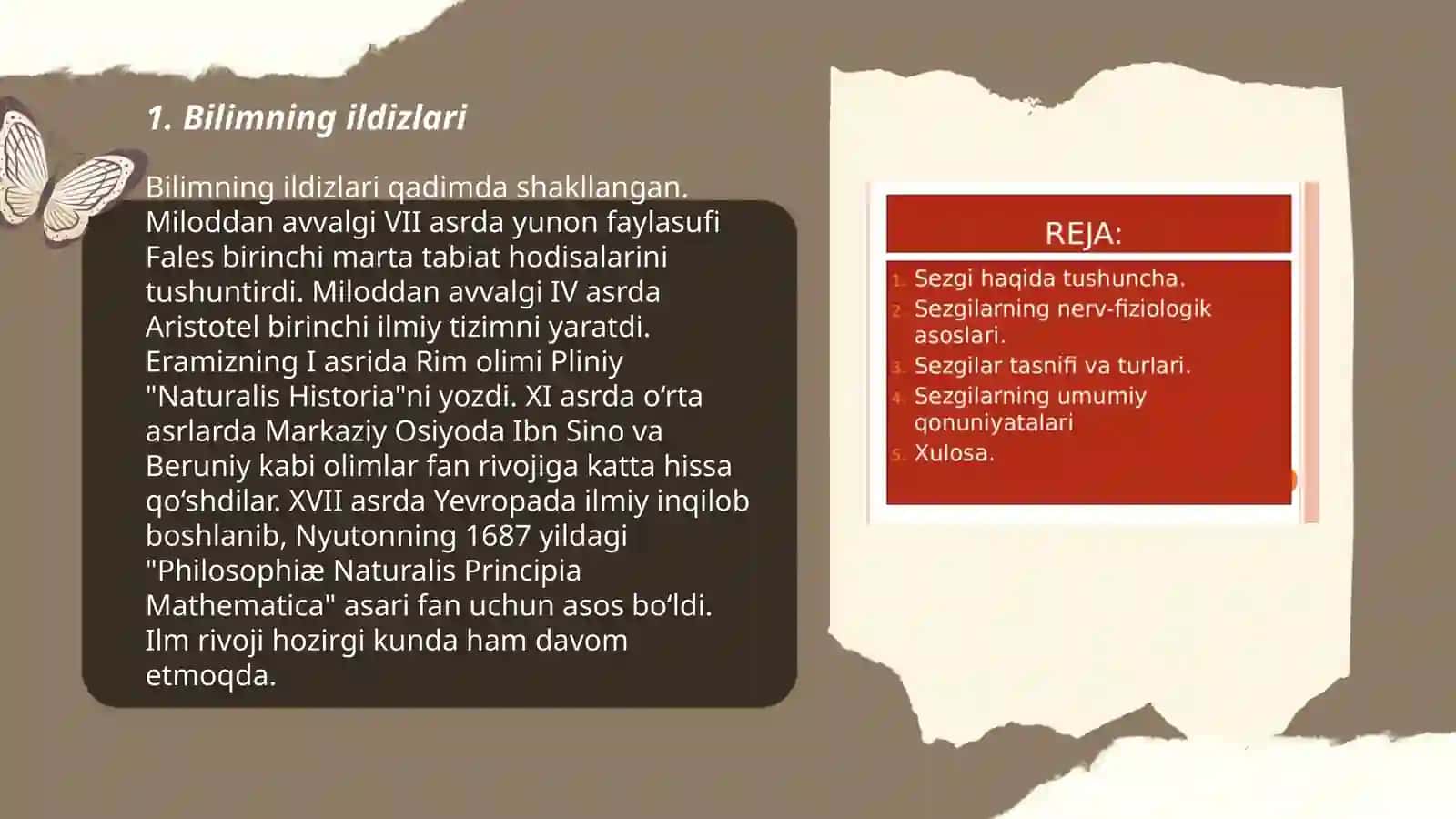 Idrok 3
