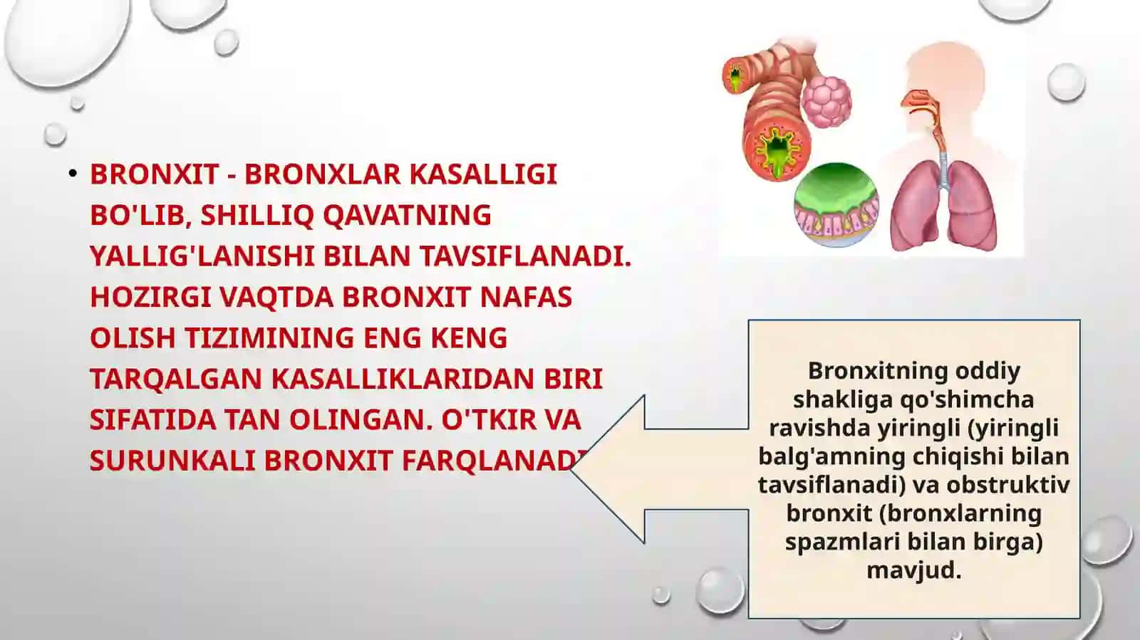 Bronxit kasaligini qo’zgatuvchi potogenez va labaraturiya tashxisi 3