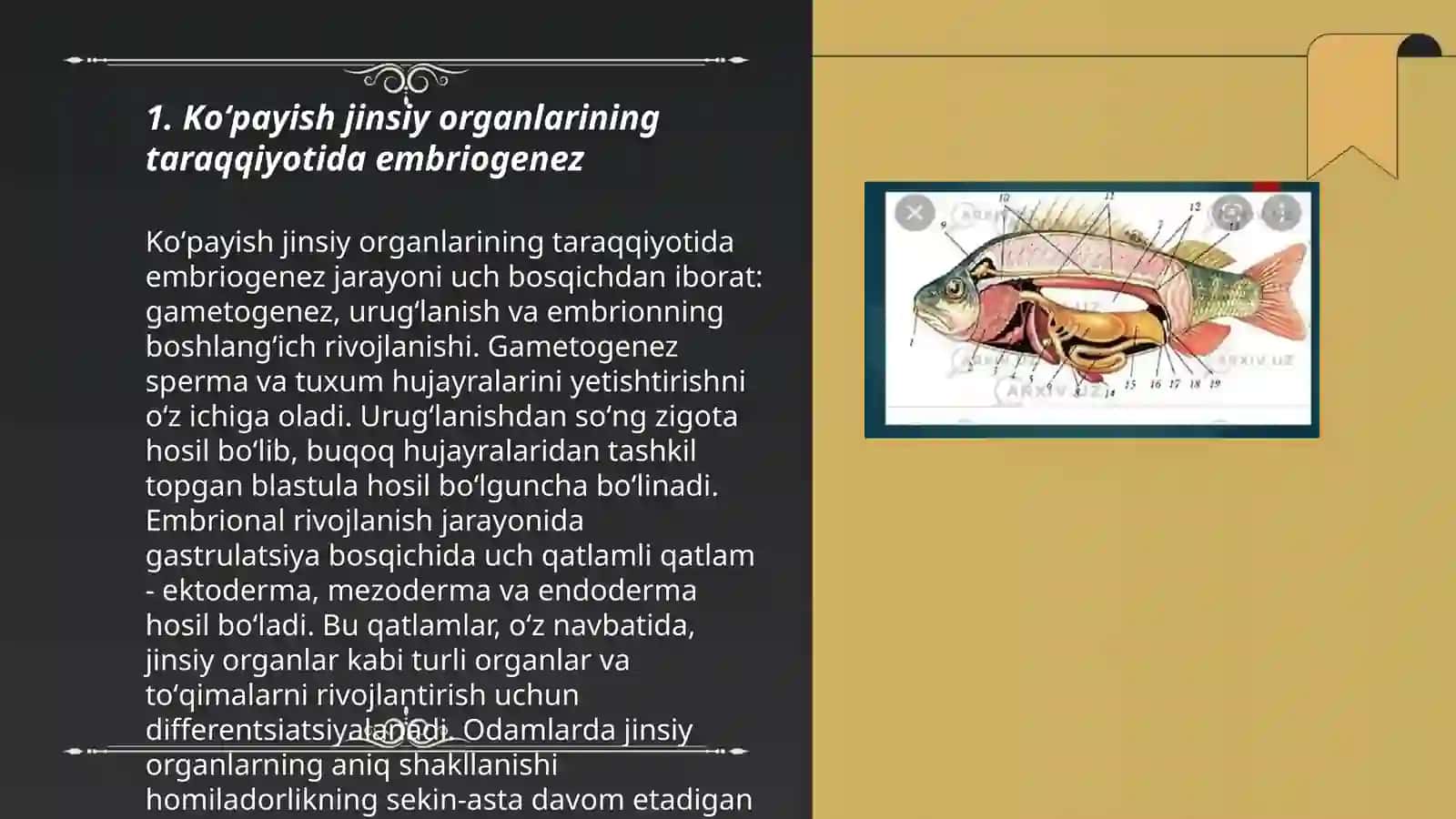Hayvonlar anatomiyasi 3