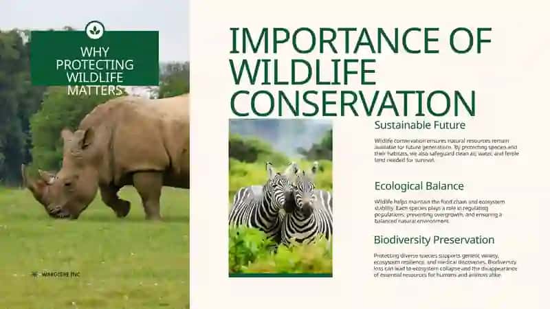 World Wildlife Day 3