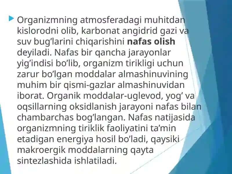 NAFAS FIZIOLOGIYASI 3
