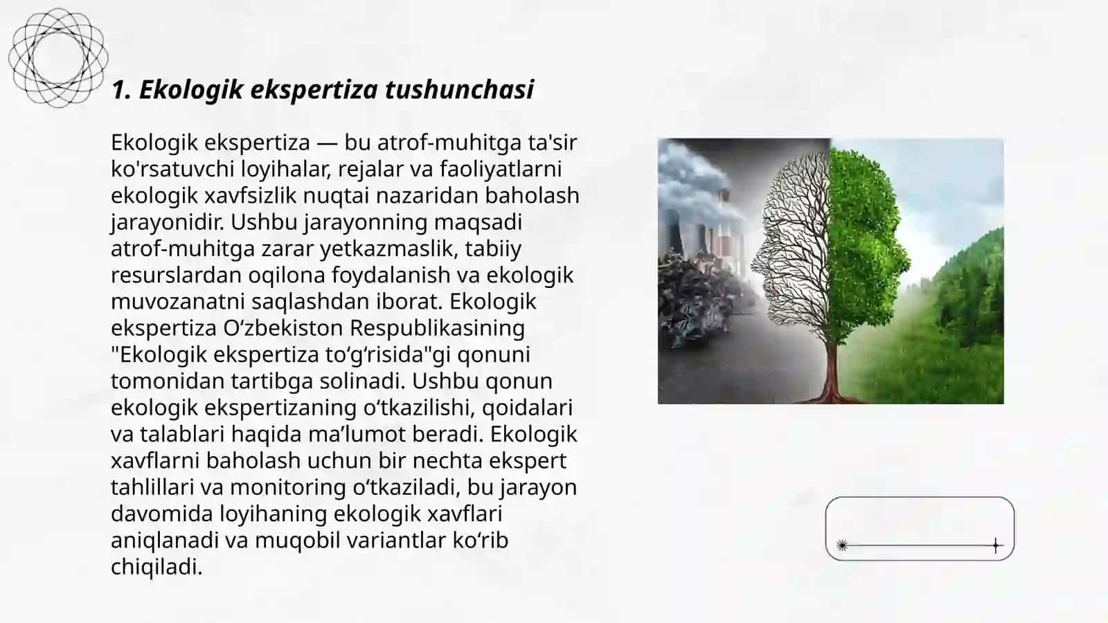 Ekologik ekspertiza 3
