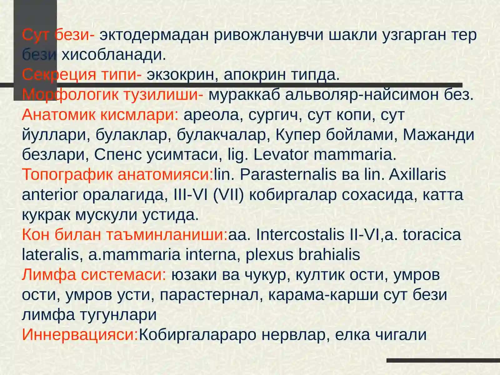 Сут безининг лимфа системаси ва кон билан таъминланиши 3