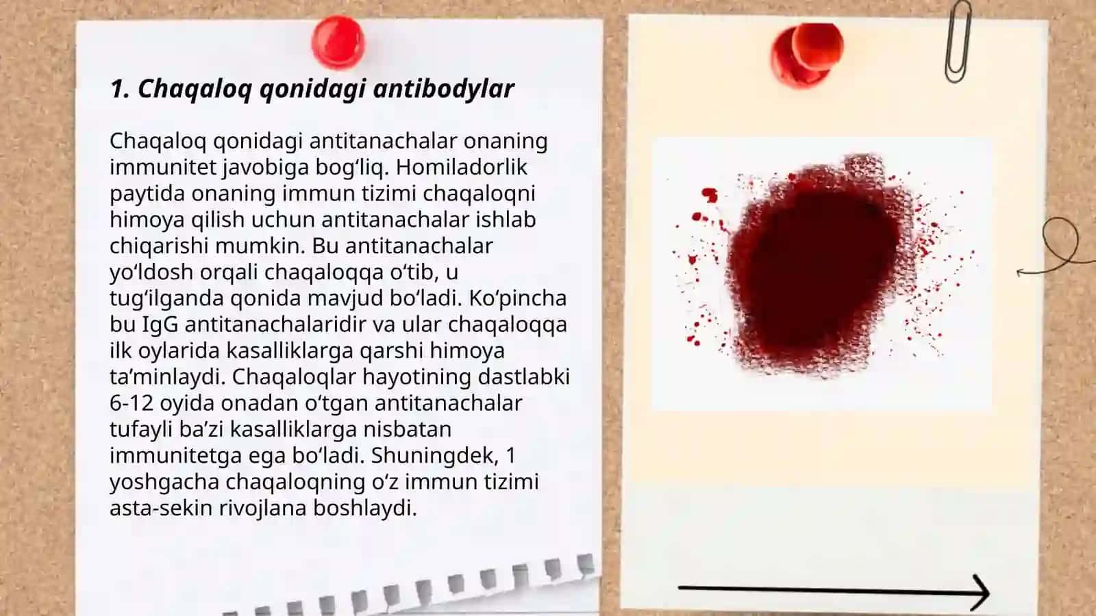 Chaqaloq qoni 3