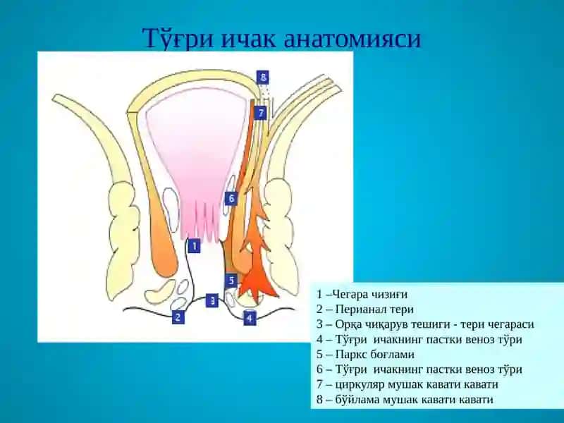 ТЎҒРИ ИЧАК КАСАЛЛИКЛАРИ 3