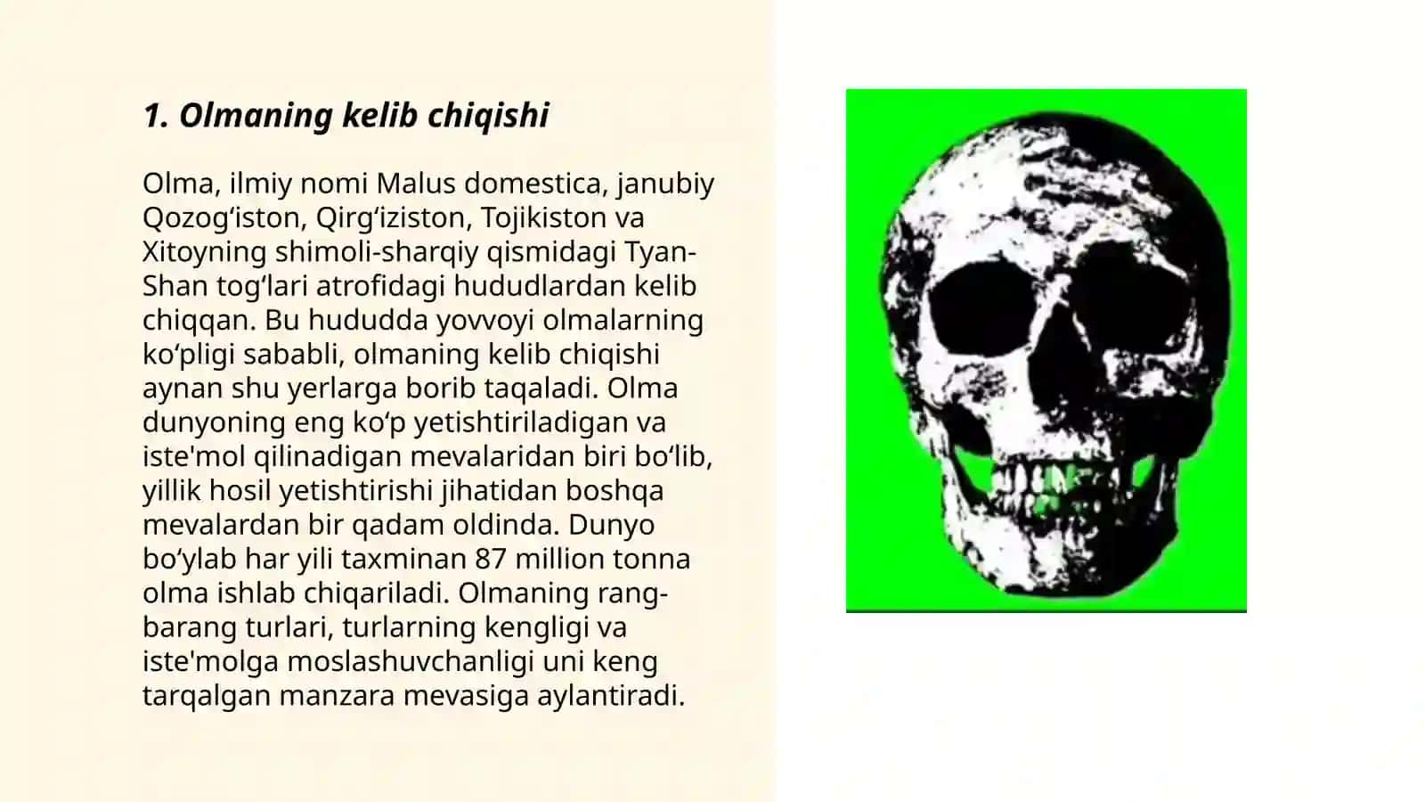 Olma 3