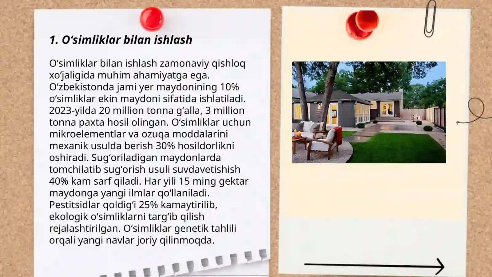 Oʻsimliklar bilan ishlash 3