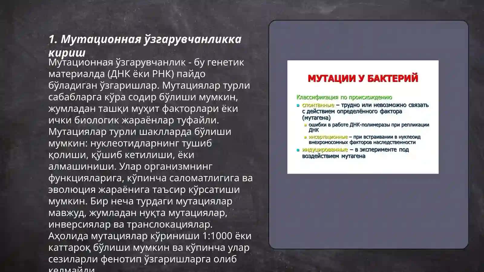 Мутационная изменчивость и ее виды 3