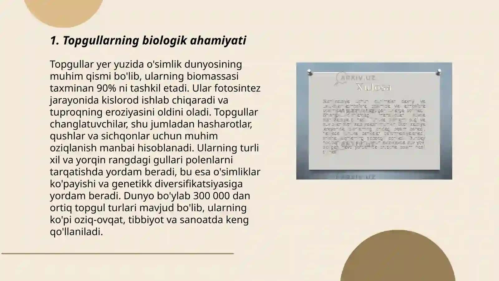 Topgullar va ularning klassifikatsiyasi 3