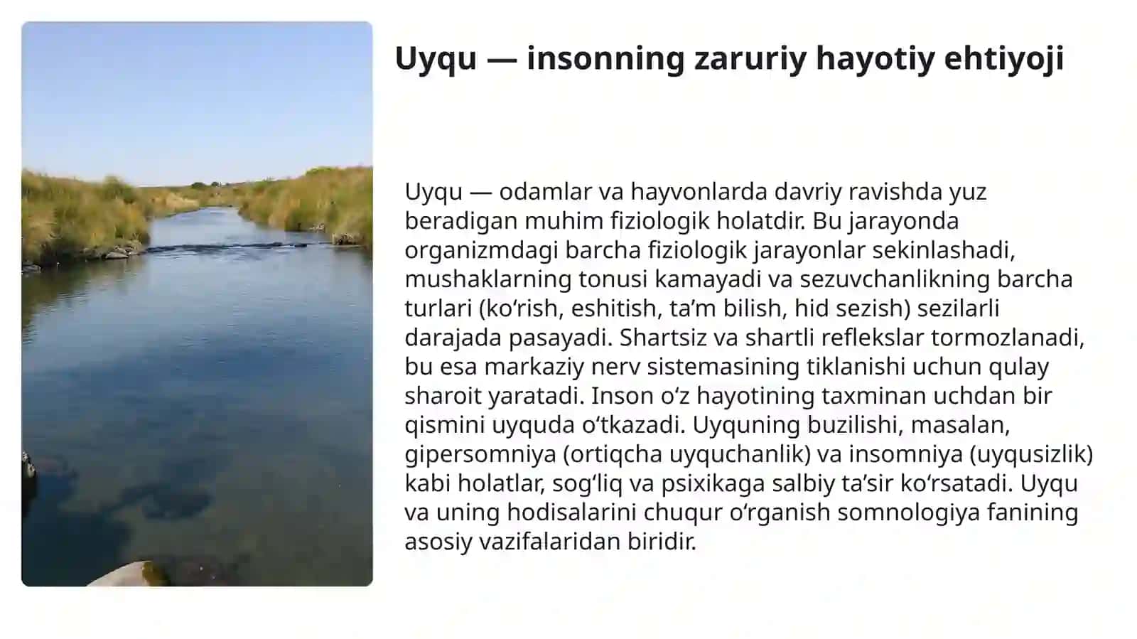 Uyqu jarayoni va uning inson psixikasiga ta'siri 3